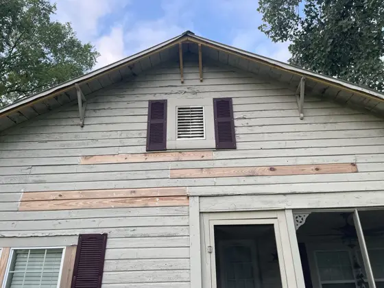 Exterior house painting — photo P009