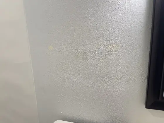 Interior painting and preparation — photo P021