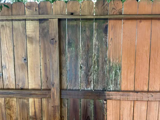 Outdoor wood staining — photo P044