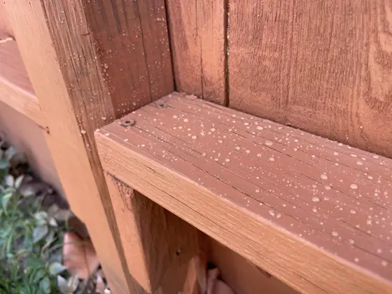 Outdoor wood staining — photo P048