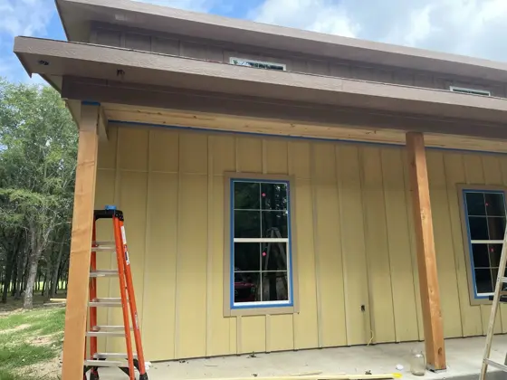 House painting and ceiling staining — photo P056