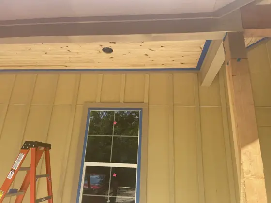 House painting and ceiling staining — photo P058