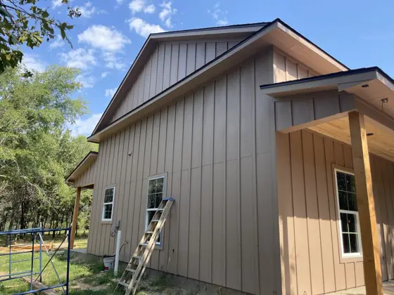 House painting and ceiling staining — photo P070