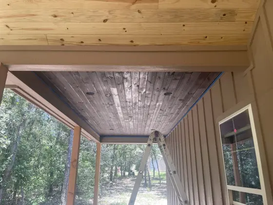 House painting and ceiling staining — photo P078
