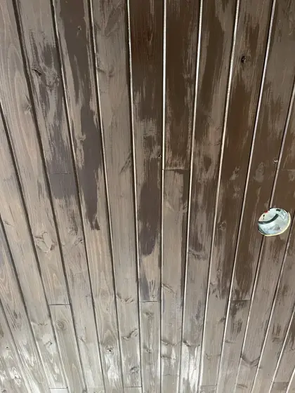 House painting and ceiling staining — photo P079
