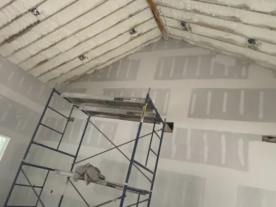 House painting and ceiling staining — photo P082