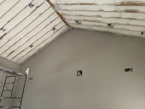 House painting and ceiling staining — photo P084