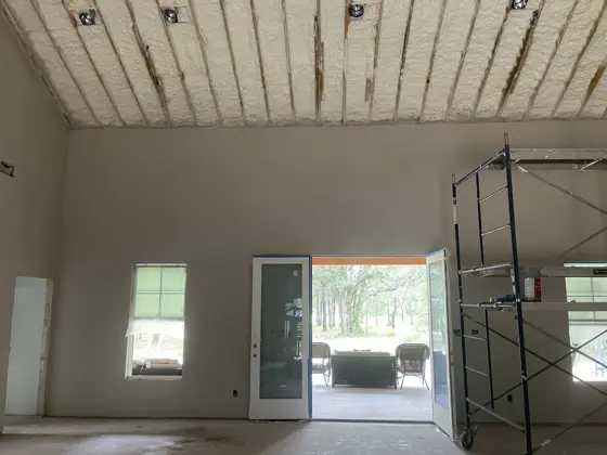House painting and ceiling staining — photo P085