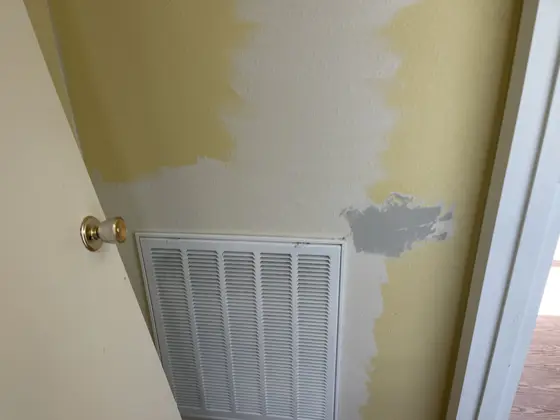 Cabinet and interior painting — photo P105