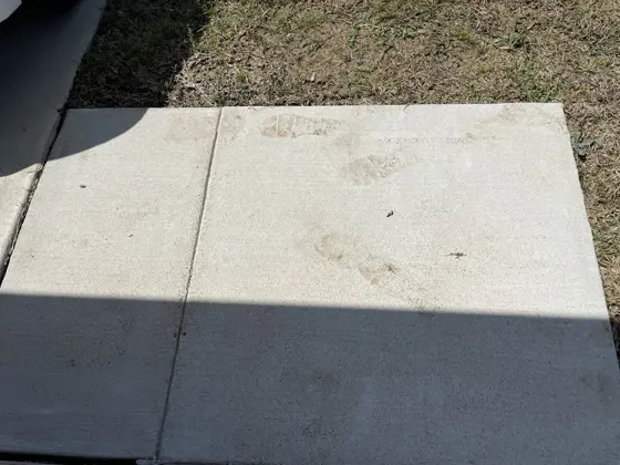 Stair and exterior pressure washing — photo P152