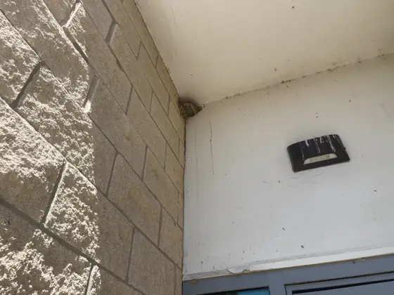 Stair and exterior pressure washing — photo P162
