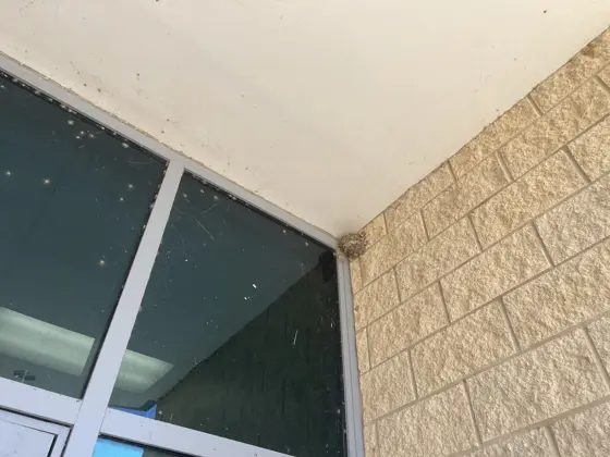 Stair and exterior pressure washing — photo P163