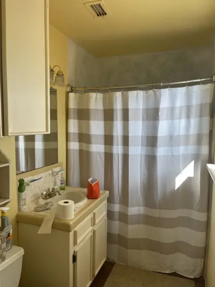 Cabinet and interior painting — photo P171