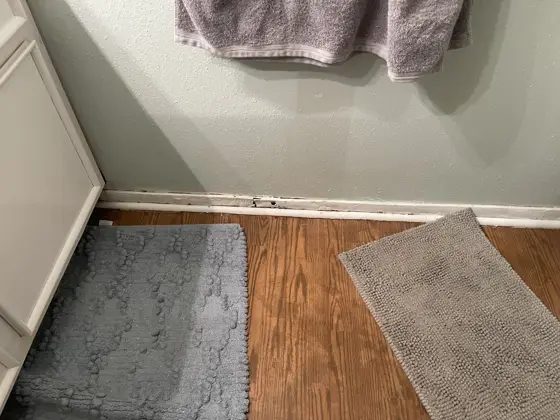 Cabinet and interior painting — photo P174