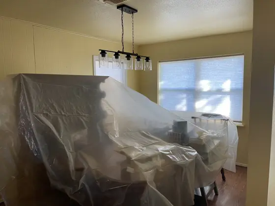 Cabinet and interior painting — photo P175