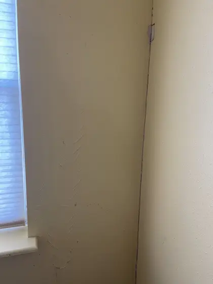 Cabinet and interior painting — photo P176