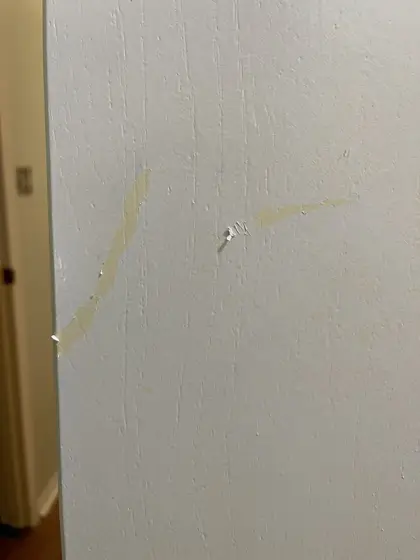 Cabinet and interior painting — photo P179