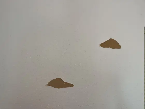 Cabinet and interior painting — photo P181