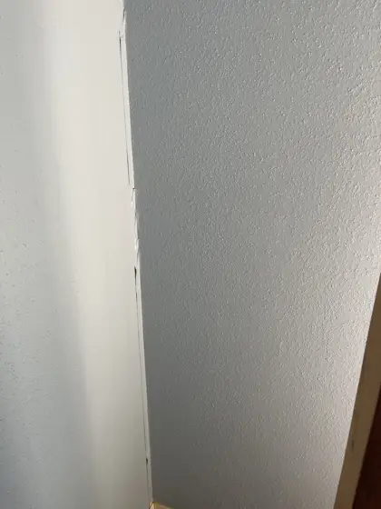 Cabinet and interior painting — photo P183