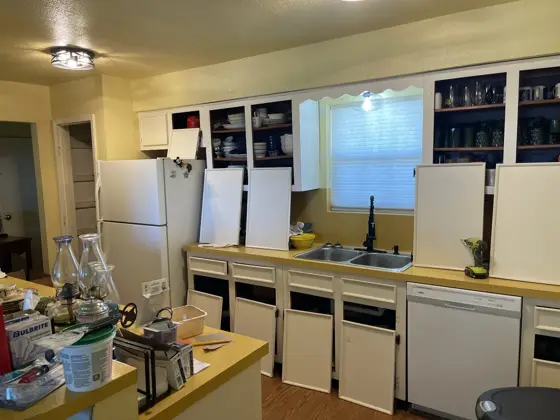 Cabinet and interior painting — photo P184