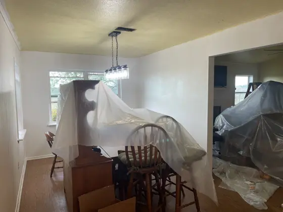 Cabinet and interior painting — photo P186