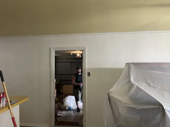Cabinet and interior painting — photo P190