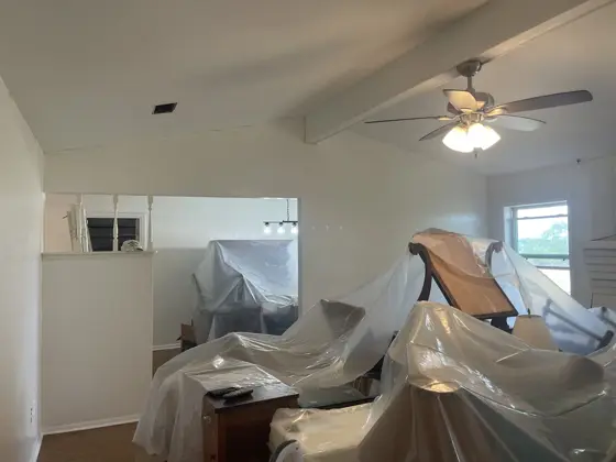 Cabinet and interior painting — photo P200
