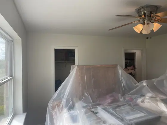 Cabinet and interior painting — photo P201