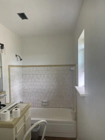 Cabinet and interior painting — photo P202