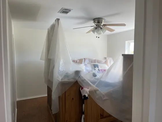 Cabinet and interior painting — photo P205