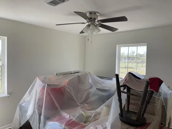 Cabinet and interior painting — photo P206