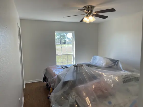 Cabinet and interior painting — photo P207