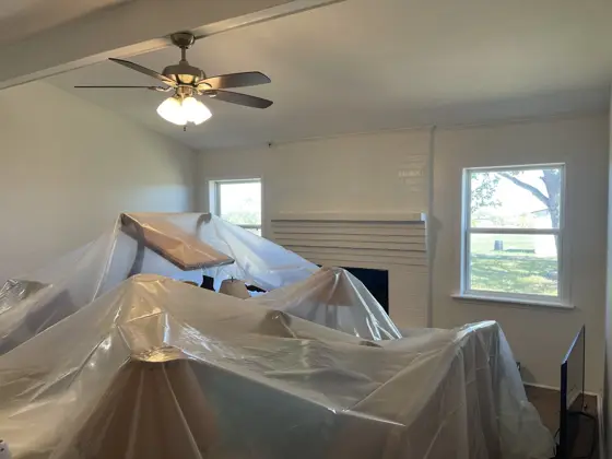 Cabinet and interior painting — photo P208