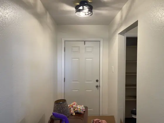 Cabinet and interior painting — photo P209