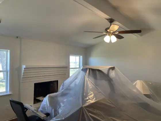 Cabinet and interior painting — photo P210