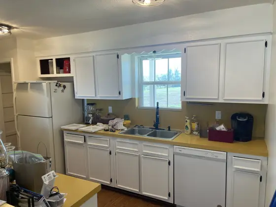 Cabinet and interior painting — photo P218