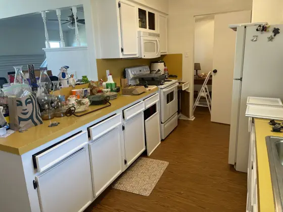 Cabinet and interior painting — photo P219