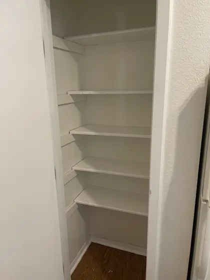 Cabinet and interior painting — photo P220