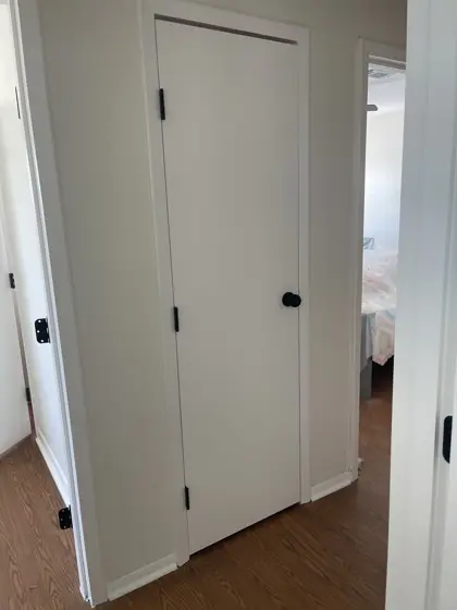 Cabinet and interior painting — photo P221