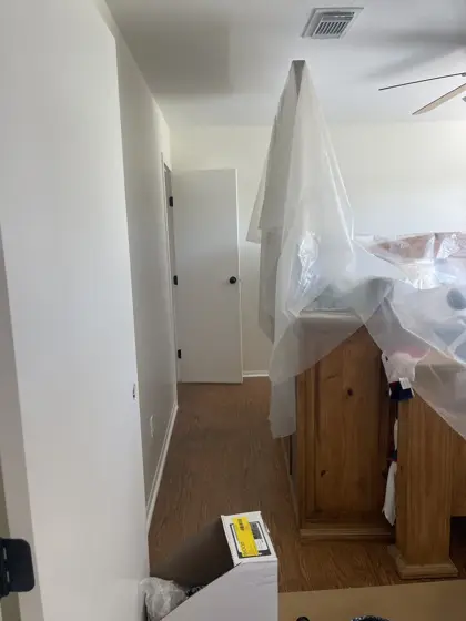 Cabinet and interior painting — photo P222