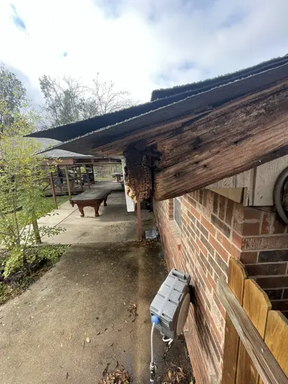 Exterior painting projects — photo P237