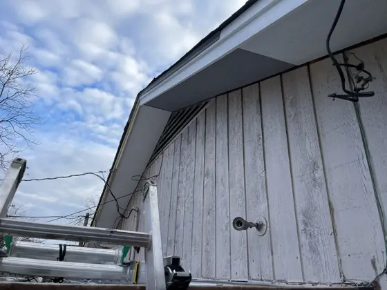 Exterior painting projects — photo P238