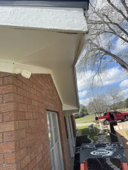 Exterior painting projects — photo P245
