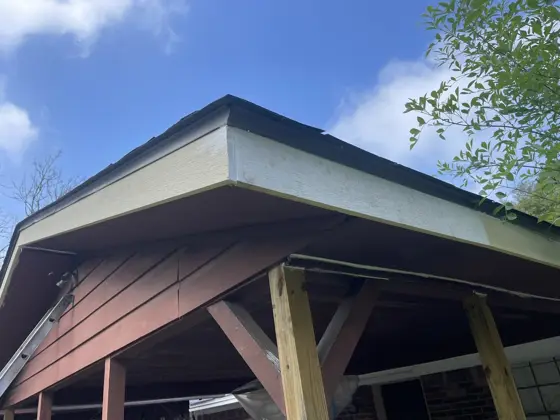 Exterior painting projects — photo P250