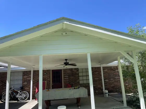 Exterior painting projects — photo P253
