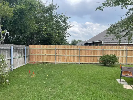 Fence project — photo P268