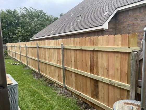 Fence project — photo P270
