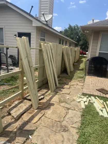Fence project — photo P271