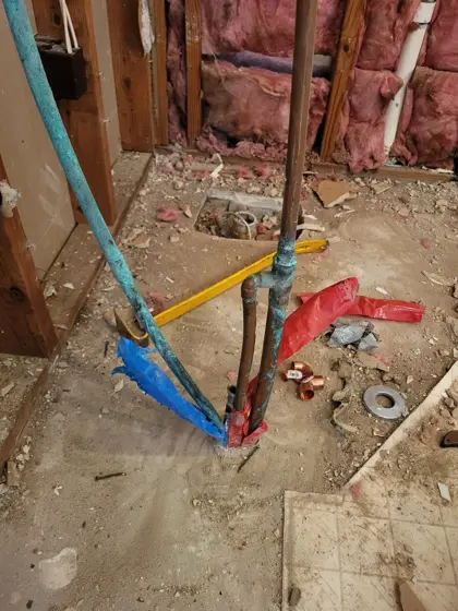 Bathroom improvements — photo P301