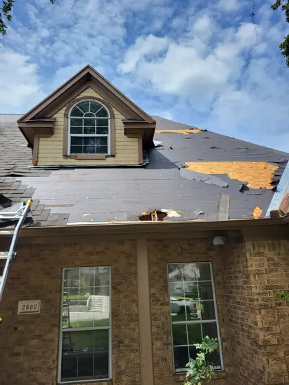 Exterior painting and finish work — photo P316